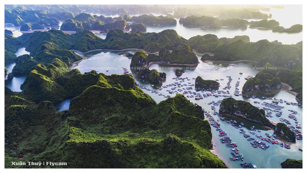 Cat Ba Hostel Cat Ba Island ภายนอก รูปภาพ