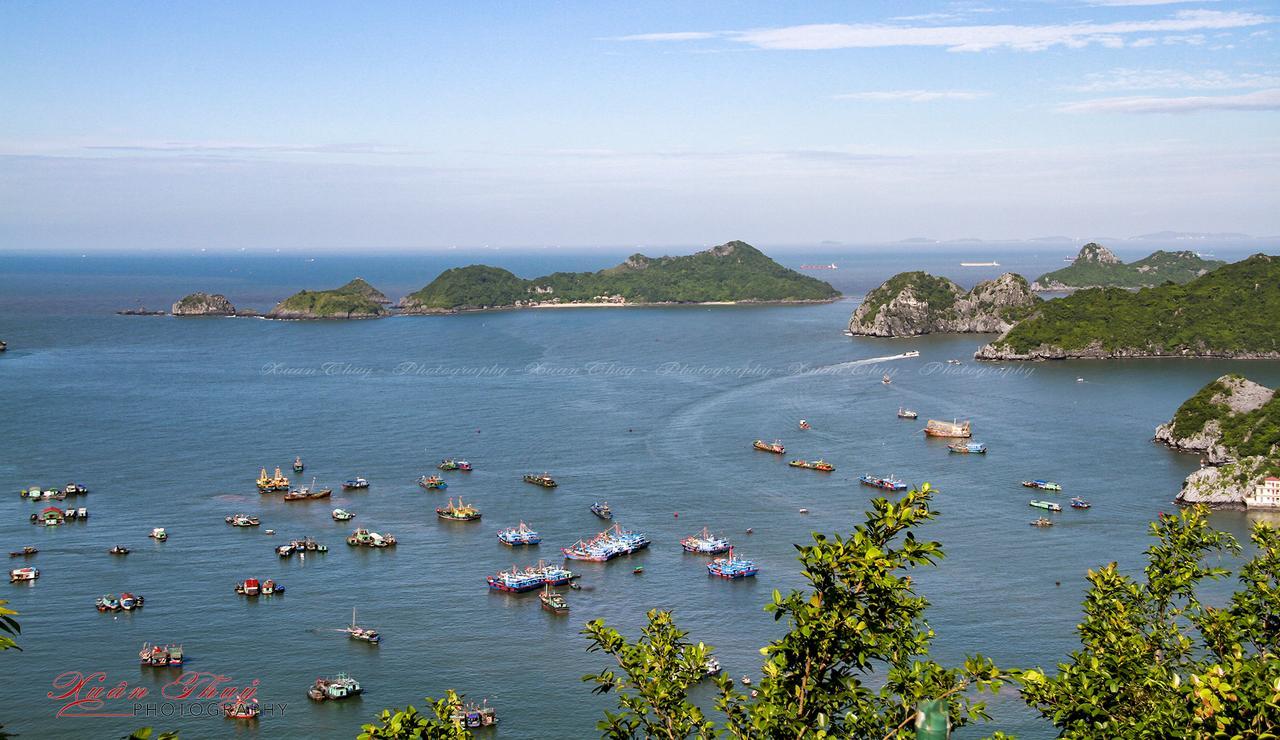 Cat Ba Hostel Cat Ba Island ภายนอก รูปภาพ